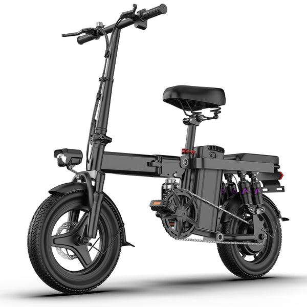 EcoRider 500X-Electric Bikes Black